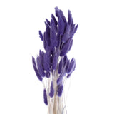 60pcs Natural Bunny Tails Dried Flowers 24" Mini Pampas Grass, Dark Purple Pampas Grass