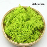 200g Artificial Plants Moss Immortal Flower Garden DIY Micro Landscape Decor Green Plant