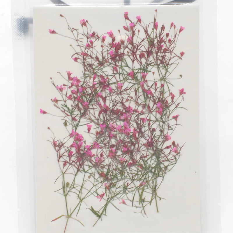 12-piece dried tiny pink flowers with thin green stems and leaves