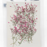 12PCS side Pressed Tiny flower, dyed color pink with leaves stem FSS103 #11 Dried Flower