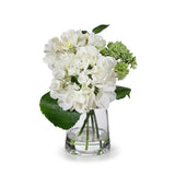 Arrangement Hydrangea Sedum Mix in Vase - Cream Green Hydrangea