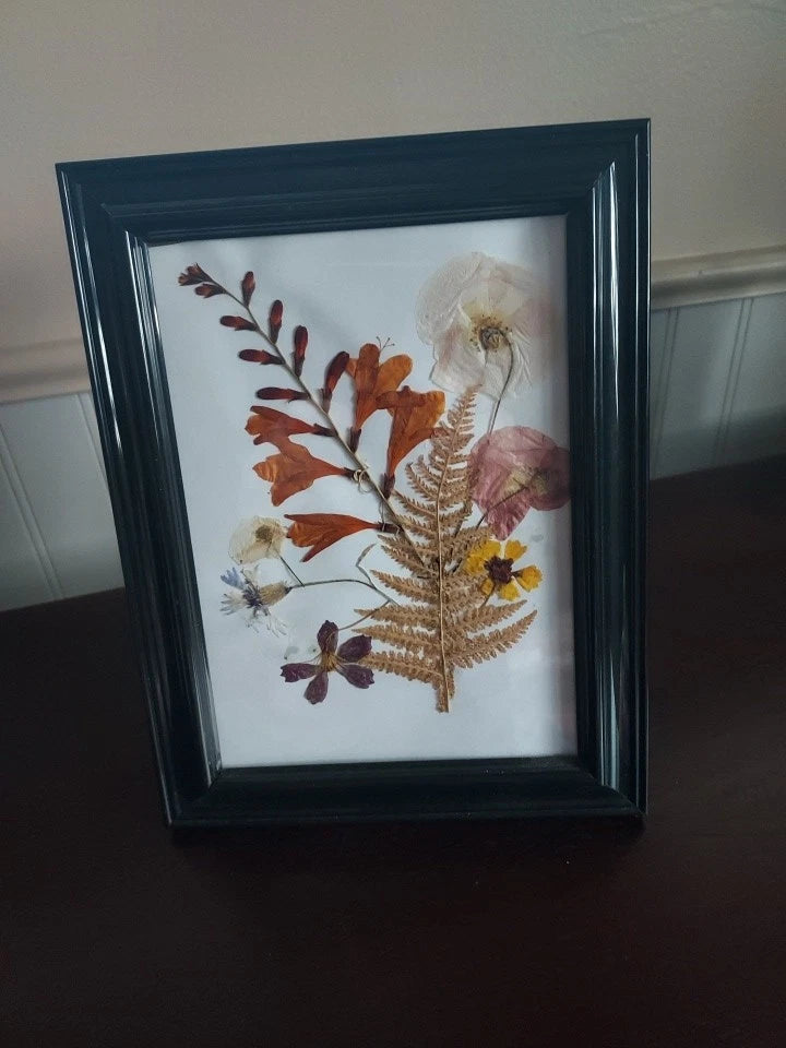 Black framed dried pressed flowers under glass wall hanging with multi-color blooms
