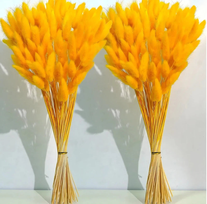 Orange Dried Pampas Grass Decor, 17-inch Pompas Floral, Dry Flowers for... Pampas Grass