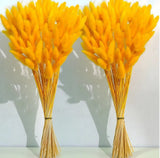 Orange Dried Pampas Grass Decor, 17-inch Pompas Floral, Dry Flowers for... Pampas Grass