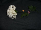 Vintage Medium Plastic White Mum Green Plant
