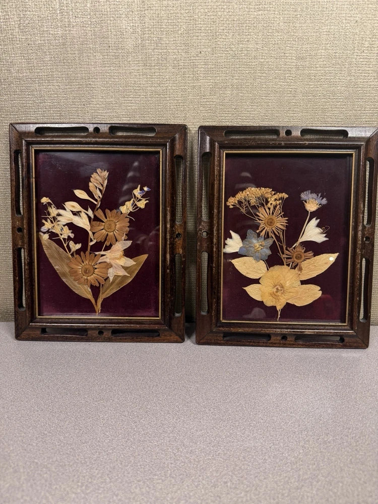 Vintage pair of pressed flower velvet wall art in carved dark wooden frames
