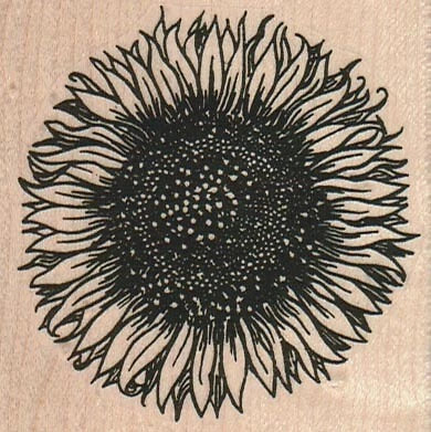 Sunflower rubber stamp impression with detailed petals and dark center
