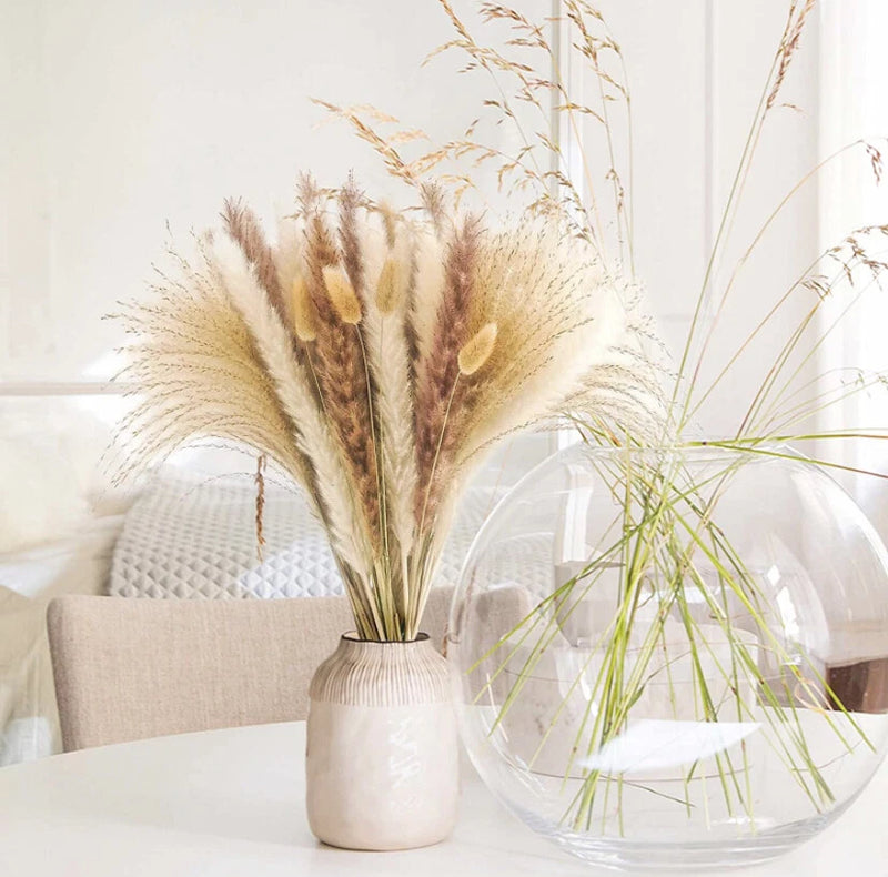 80 pcs 17" Dried Pampas Grass Decor White and Brown Pampas Reed Grass Bunny Tail Pampas Grass