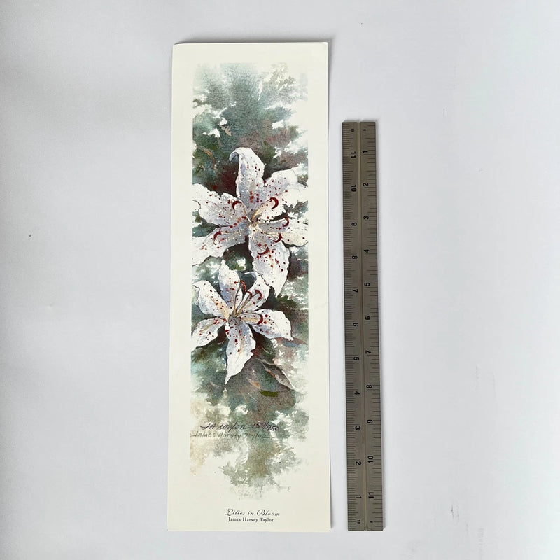 James Harvey Taylor ÒLilies in BloomÓ Ð Signed & Numbered Art Print Ð 159/950 Lily