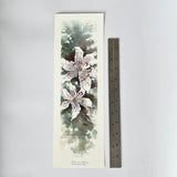 James Harvey Taylor ÒLilies in BloomÓ Ð Signed & Numbered Art Print Ð 159/950 Lily