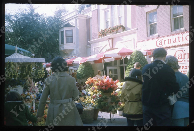 sl90 Slide 1970's Disneyland Main St Carnation Flower store 314a Carnation