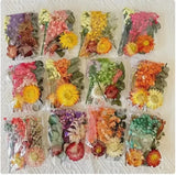Mixed Dried Pressed Flowers for DIY Crafts, Wedding Decor, Party Favors & Candle Dried Flower