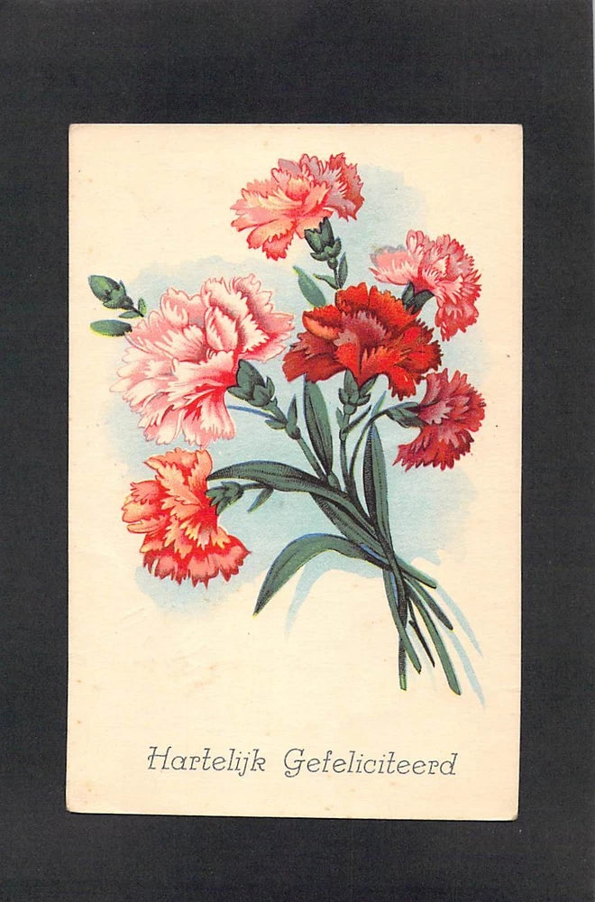 M5047 Flowers Carnations Hearty Greetings c1940 vintage postcard Carnation