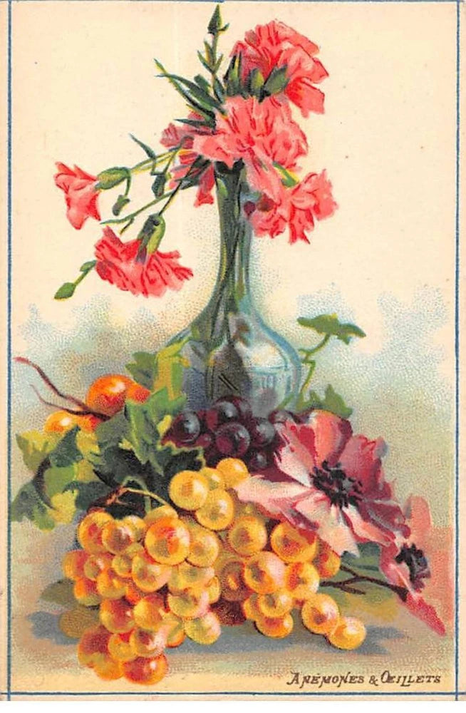 Chromos - COR11235 - Flowers - Carnations - Anemones - Approximately 8x12 Cm Carnation