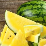 25 Seeds Watermelon Yellow Rare Vegetable Planting Organic Heirloom Garden . Garden Plants