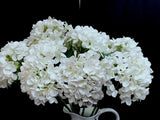 Long 19" Stem Huge Silk Hydrangea White Flowers (12 Total) Floral Topiary Hydrangea