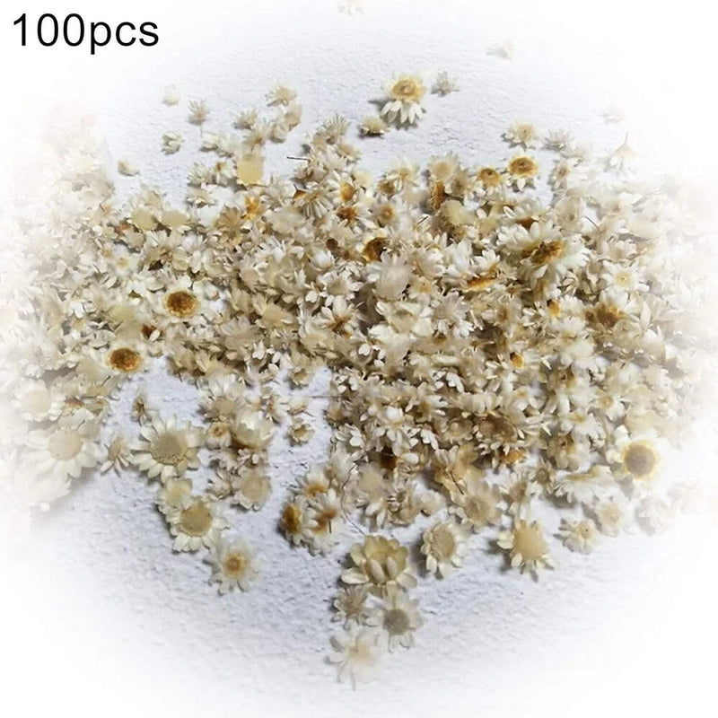 100-piece pack of dried pressed flowers in white and light gold tones