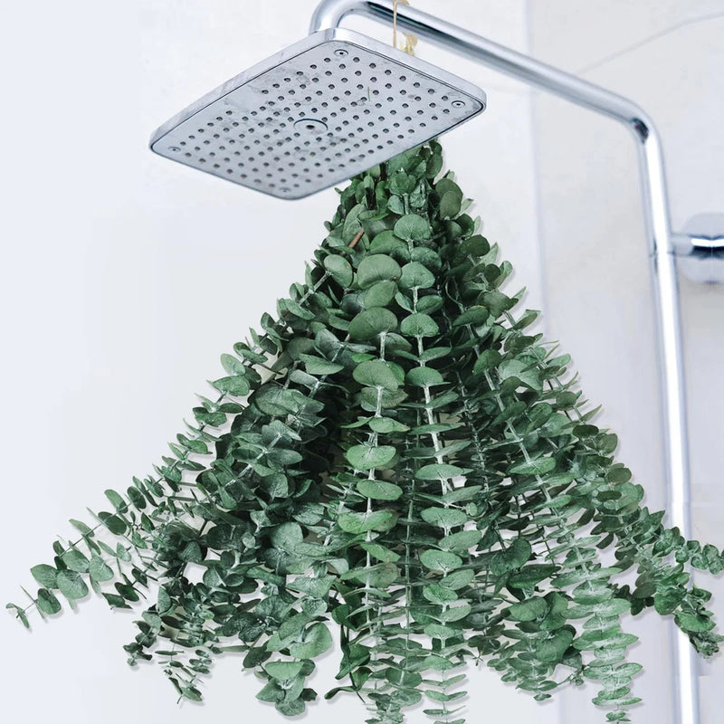 Preserved dried eucalyptus bundle with dense green leaf sprigs, spread under shower head