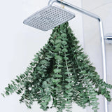 22 PCS Dried Eucalyptus Bundle for Shower - 17" Large Preserved Eucalyptus St... Dried Flower