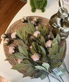 28Ó  Viral Tan Peony Ashland Stems, Set Of 4, Michaels, TikTok Flowers FREE SHIP Flowering Plants