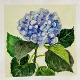 Original watercolor painting Blue hydrangea Floral Botanical wall art 7 x 7 Hydrangea