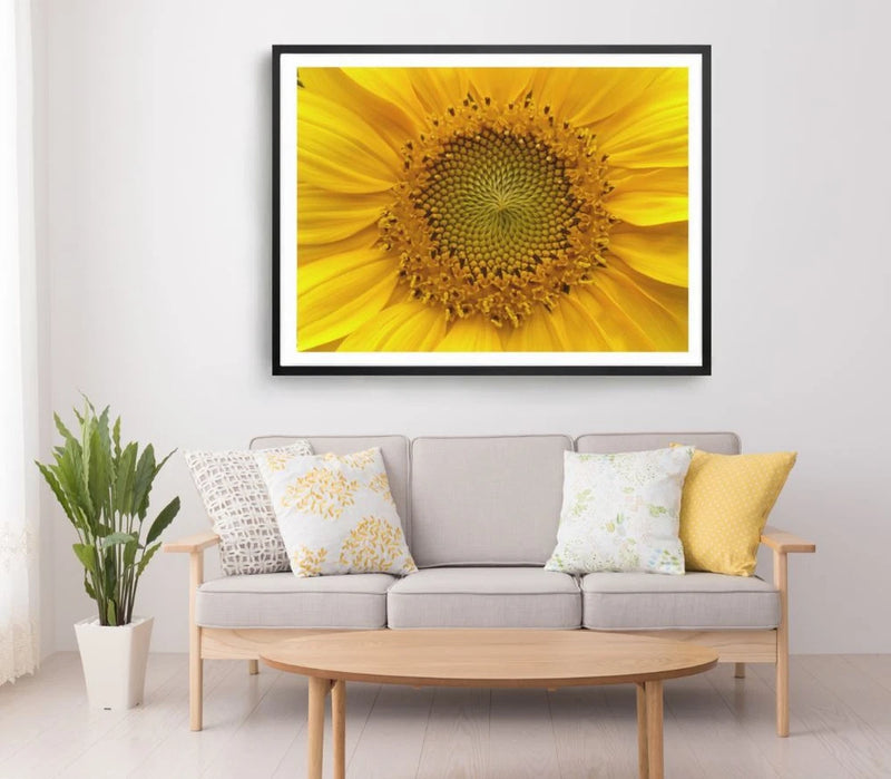 Framed sunflower wall art with large yellow flower in black frame