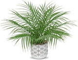 Large Artificial Potted Fake Palm 16" Faux Green Plant Plastic Ceramic Tropical Green Plant