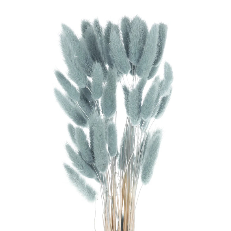 60pcs Natural Bunny Tails Dried Flowers 16" Mini Pampas Grass, Gray-blue Dried Flower