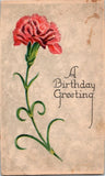 Vintage Birthday Greeting Postcard Red Carnation Flower Early 1900s Carnation