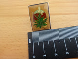 Grand Canyon National Park Flowering Plant Brown Green White Arizona USA Pinback Flowering Plants
