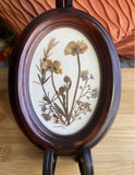 3 framed dried floral art Dried Flower