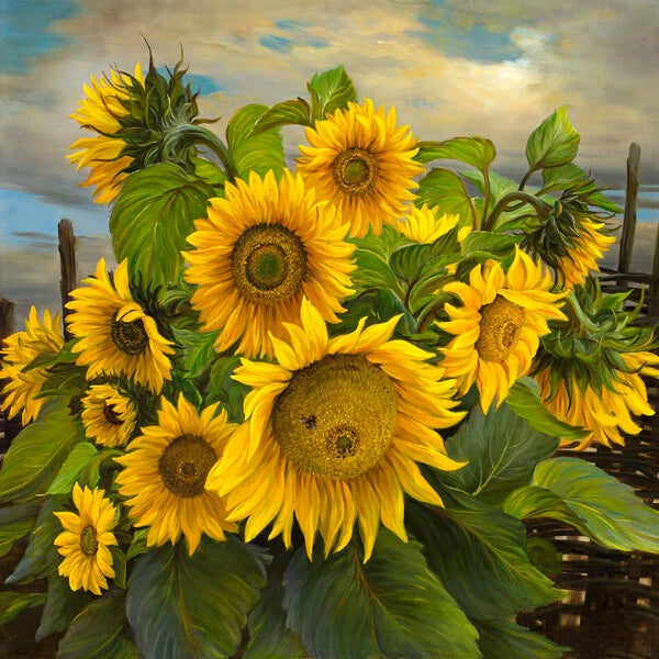 Sunflower canvas art print with yellow blooms and green leaves