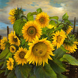 Sunflower still life oil painting Canvas Giclee Art Print for living room L2570 Sunflower