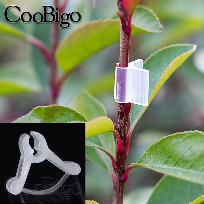 Transparent plant grafting clamp clips, U-shaped connectors for vines