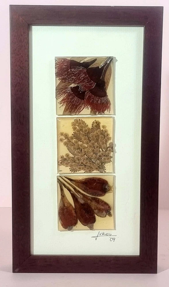 Ocean Petals Pressed Flowers Resin Artwork Framed Australian Flowers Dried Flower