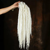5Pcs Dried Amaranthus Hanging Flowers, Natural Preserved Flower for White Dried Flower