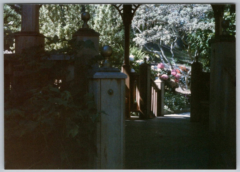Vtg Color Snapshot Lush Garden Gazebo With Pink Hydrangea Flowers & Path 2001 Hydrangea