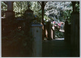 Vtg Color Snapshot Lush Garden Gazebo With Pink Hydrangea Flowers & Path 2001 Hydrangea
