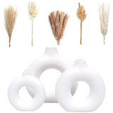 VELOVA Set of 3 White Ceramic Vase with 65 PCS Dried Pampas Grass Flowers Aes... Pampas Grass