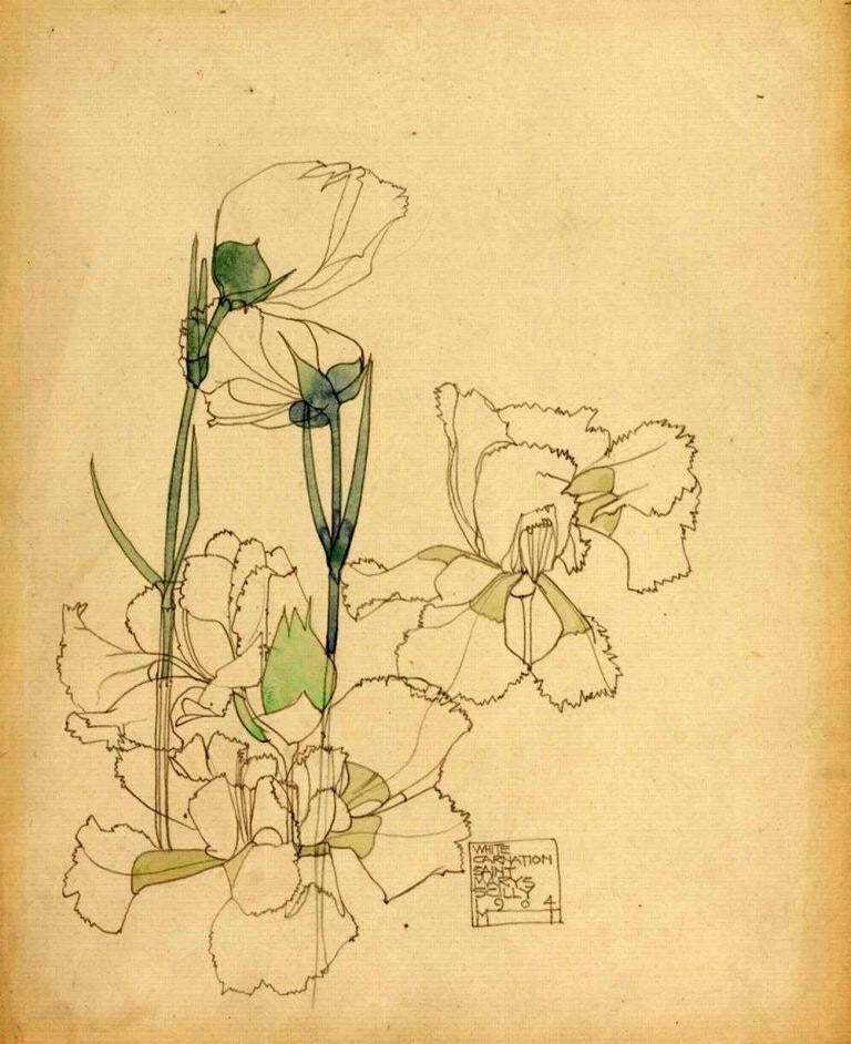 White Carnation Botanical Art Print Charles Rennie Mackintosh 1904 Glasgow Style Carnation