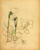 White Carnation Botanical Art Print Charles Rennie Mackintosh 1904 Glasgow Style Carnation