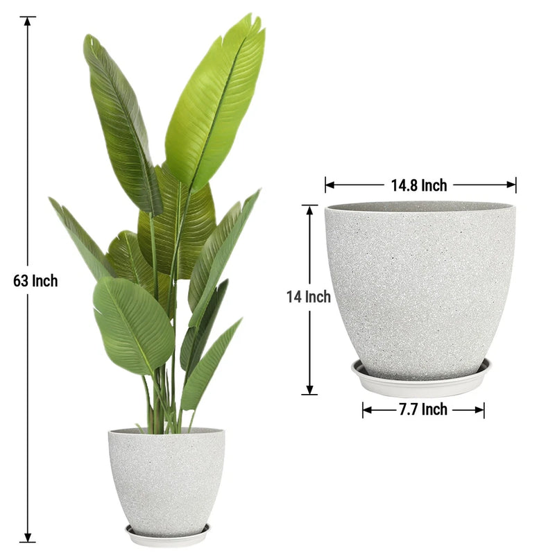 Artificial bird of paradise plant with textured gray pot, 63 in tall, 14 in pot.