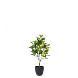 Mini Lemon Tree Faux Plants And Trees Green Plant