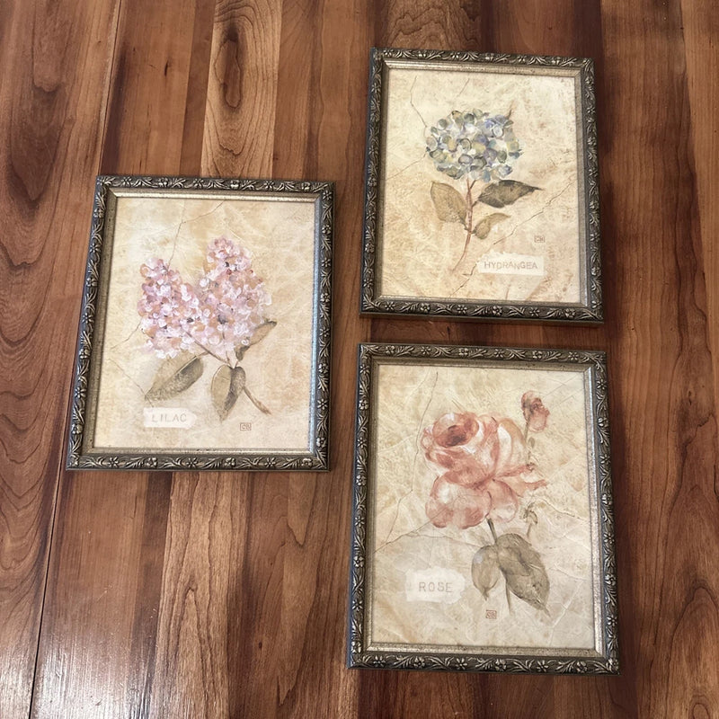 CB Signed Set 3 Wooden Floral Frames 9 By 11Ó Flower Hydrangea Lilac & Rose Hydrangea