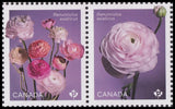 Canada 3372 Ranunculus horz pair (from sheet) MNH 2023 Ranunculus