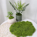 Green Artificial Moss DIY Crafts Grass Synthetic Home Hotel Office Garden Decor Green Plant