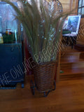 Pottery Barn Decorative Craft Art Fountain Meadow Italy Dried Ornamental Grass Pampas Grass