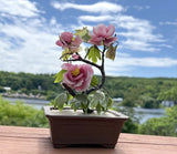 Vintage 8Ó Shohin Bonsai Glass Peony Tokoname Artist Signed Terra Cotta Pot Peony