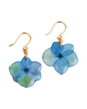 Green Blue Hydrangea Earrings, Real Flower Jewelry Hydrangea