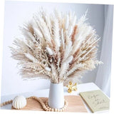 96PCS Natural Dried Pampas Grass Boho Home Decor 96PCS+NO ADDITIONAL ITEMS Pampas Grass